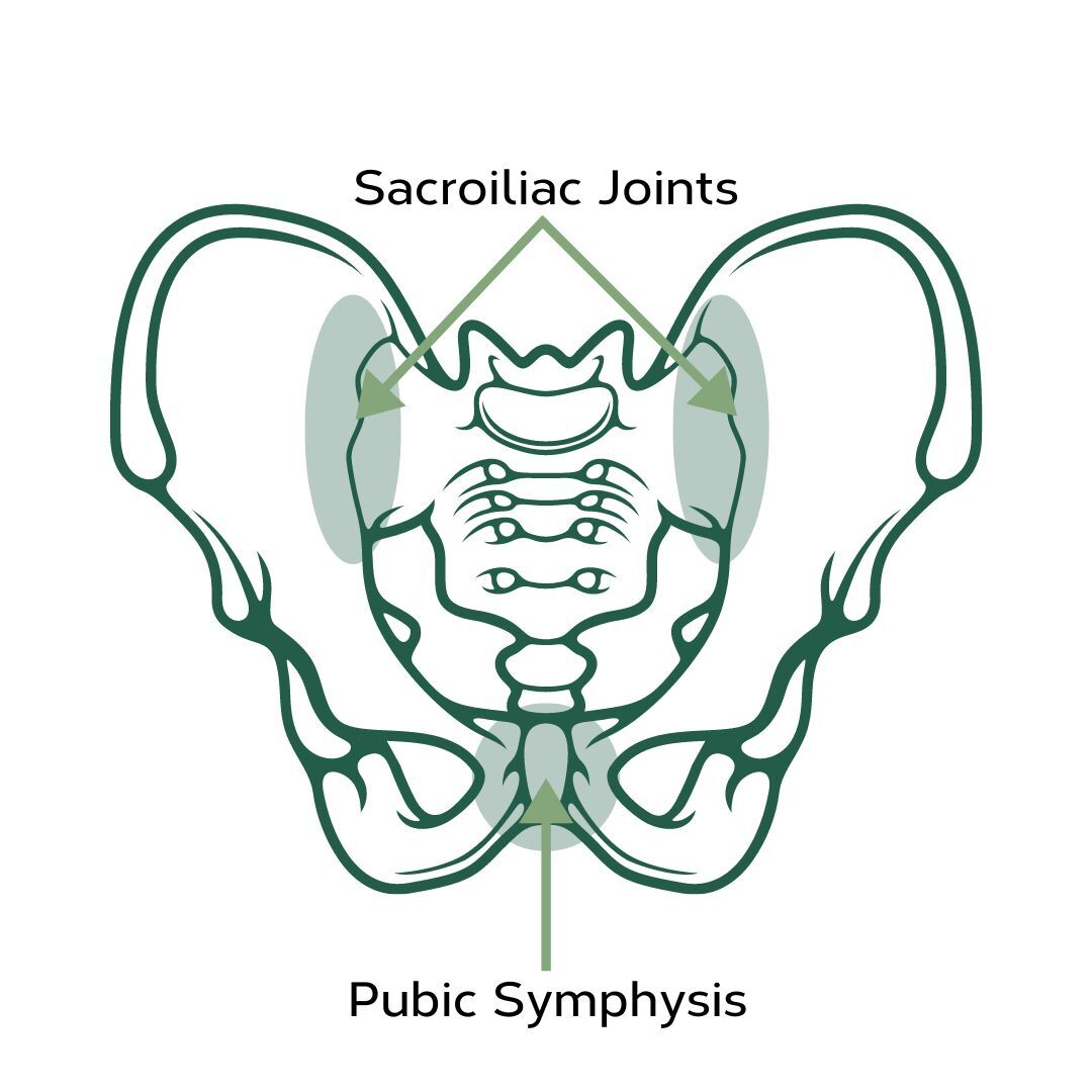 bumps-twinges-and-baby-kicks-decoding-lower-back-pain-and-pelvic