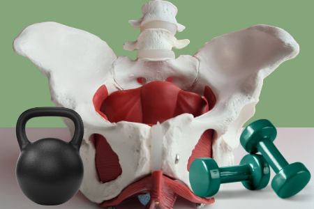 Pelvic Floor Exercises